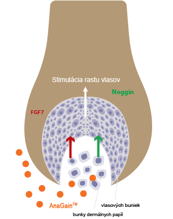 Locerin Scheme